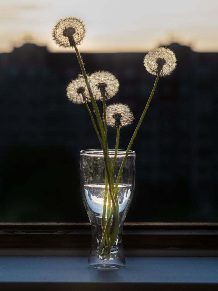 Photograph by Маргарита Ивкова