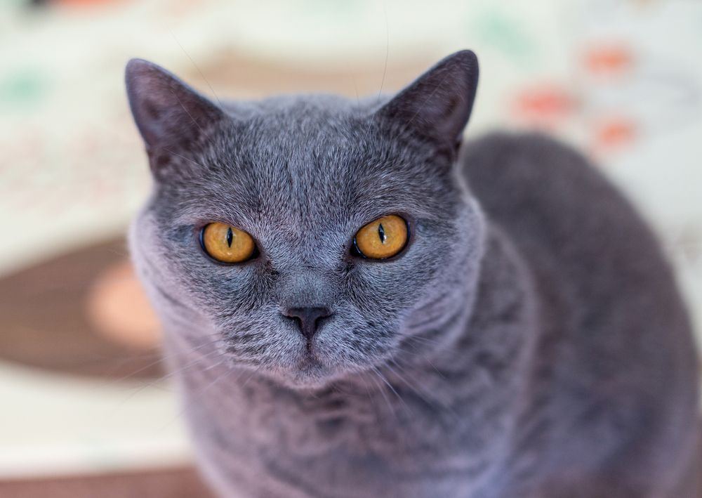 Photograph by Bulgakov Alexey