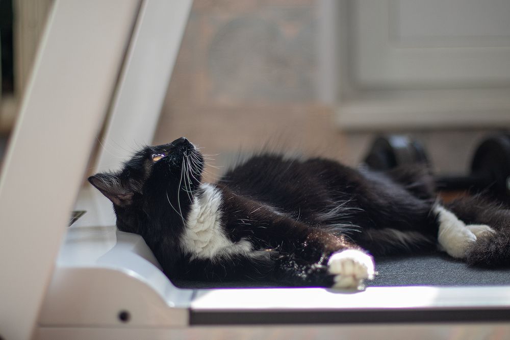 Photograph by Светлана Ржевская