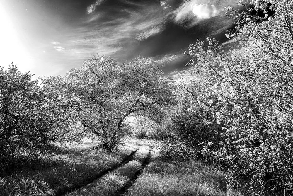 Photograph by Владислав Никишин