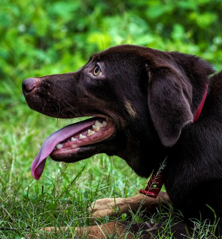 Photograph by Vinayak V