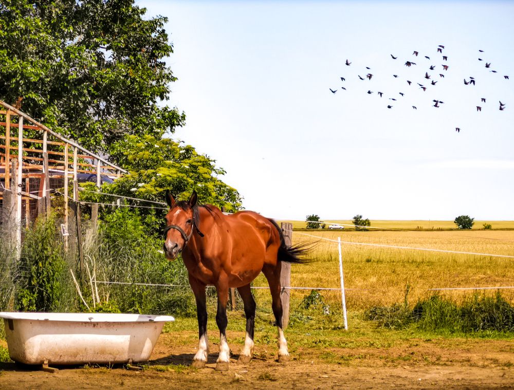 Фотография автора Nomin Jerabek