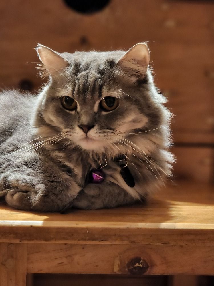 Photograph by Astried Marini