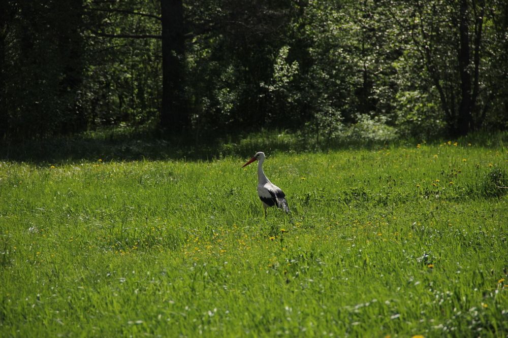 Photograph by Зоя Кулько