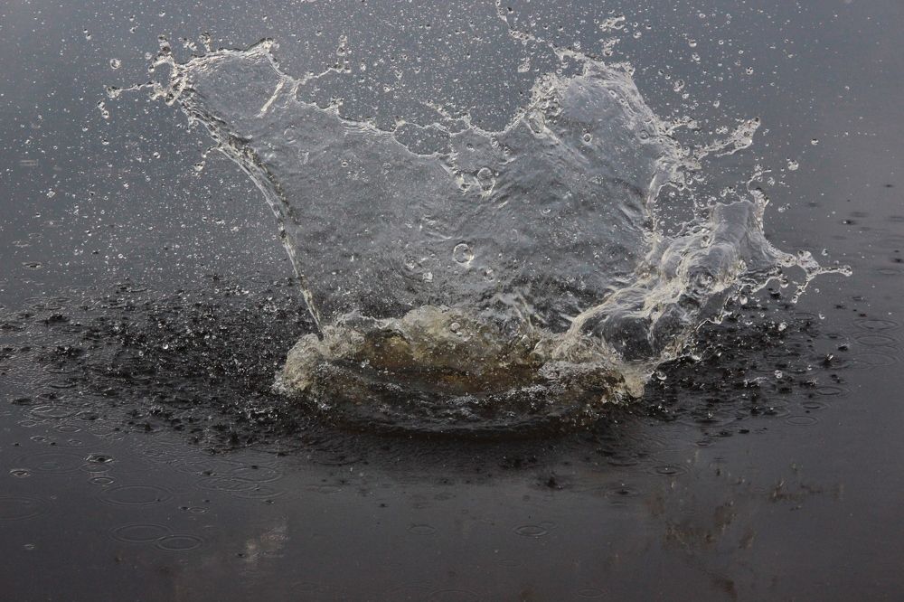 Photograph by Зоя Кулько