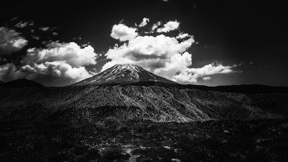 Photo #7662965