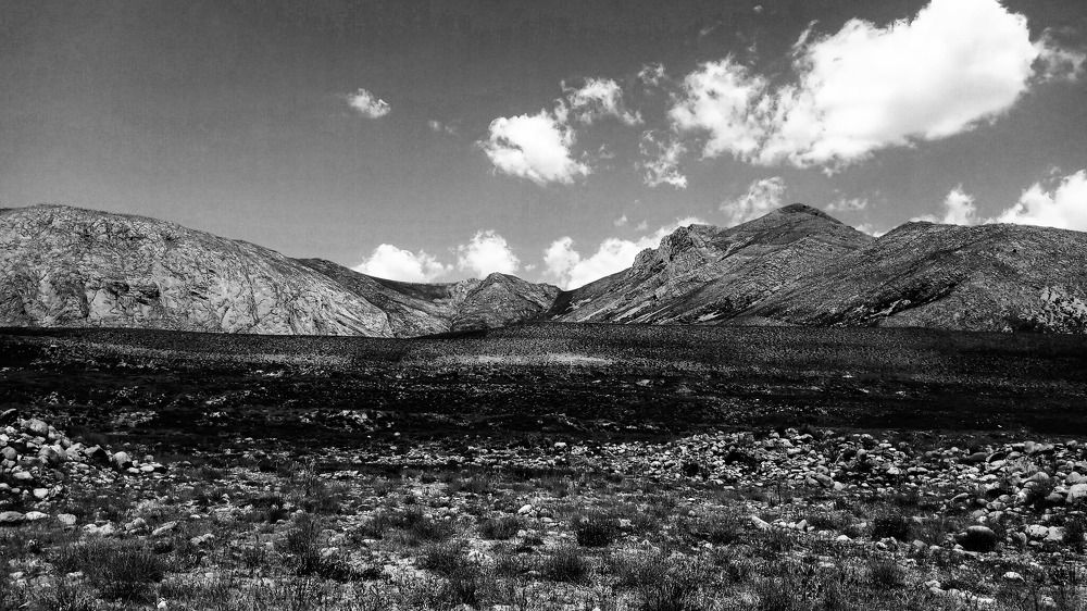 Photo #7662967