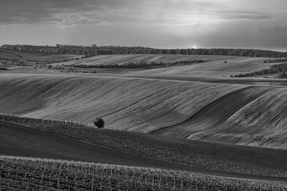 Photograph by Budyta Dariusz