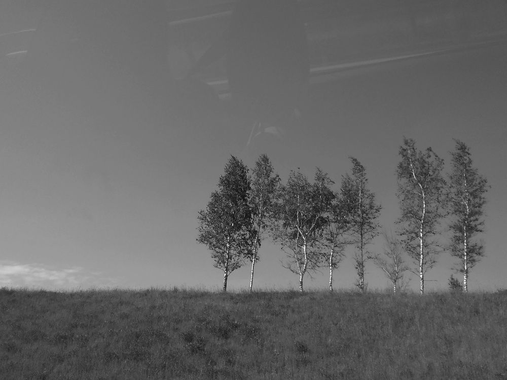 Photograph by Мария Голубева