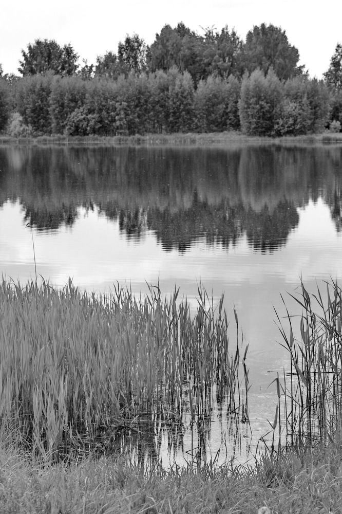 Photograph by Николай Николаевич Леухин