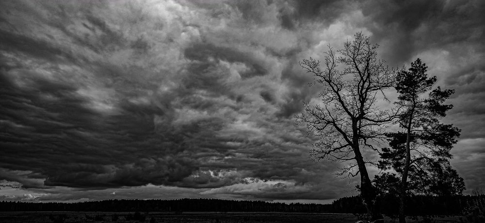 Photograph by Вадим Кумпяк