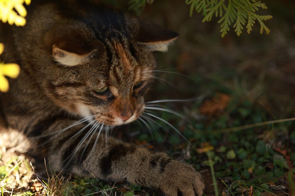 Photograph by Виктория Янушанис
