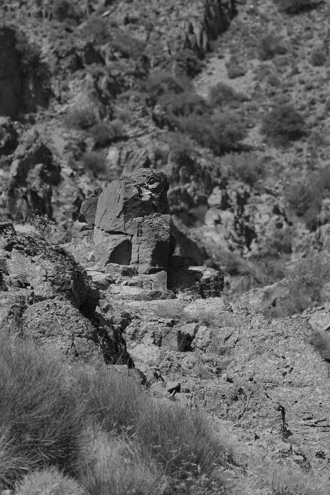 Photograph by Maryam javani