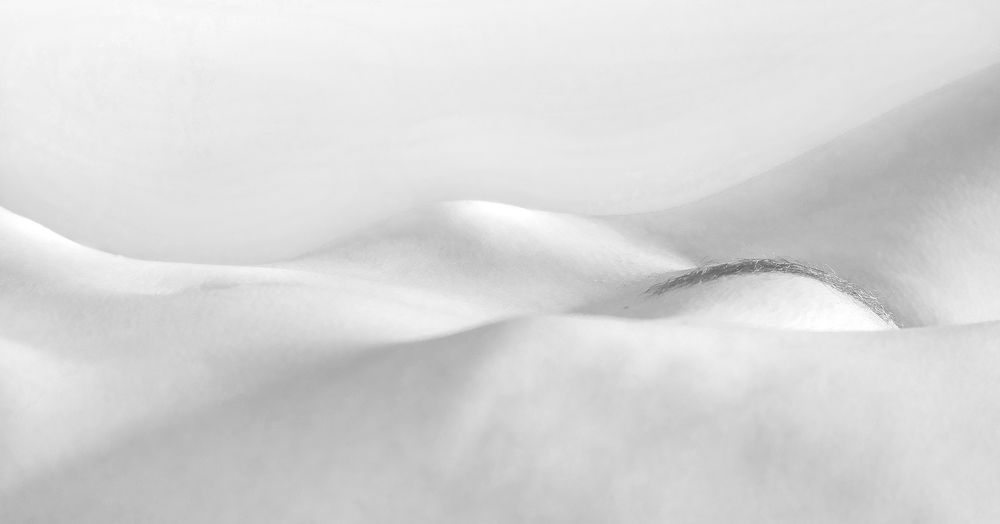 Photograph by  Grzegorz