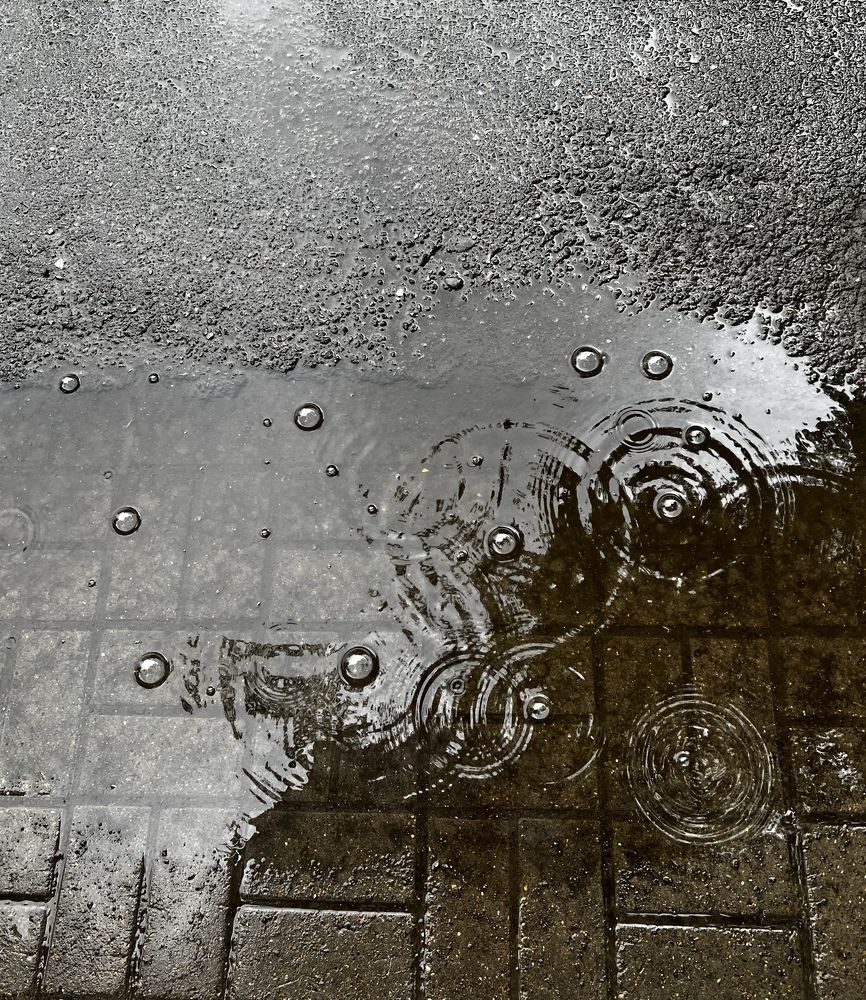 Photograph by Надежда Золотарёва