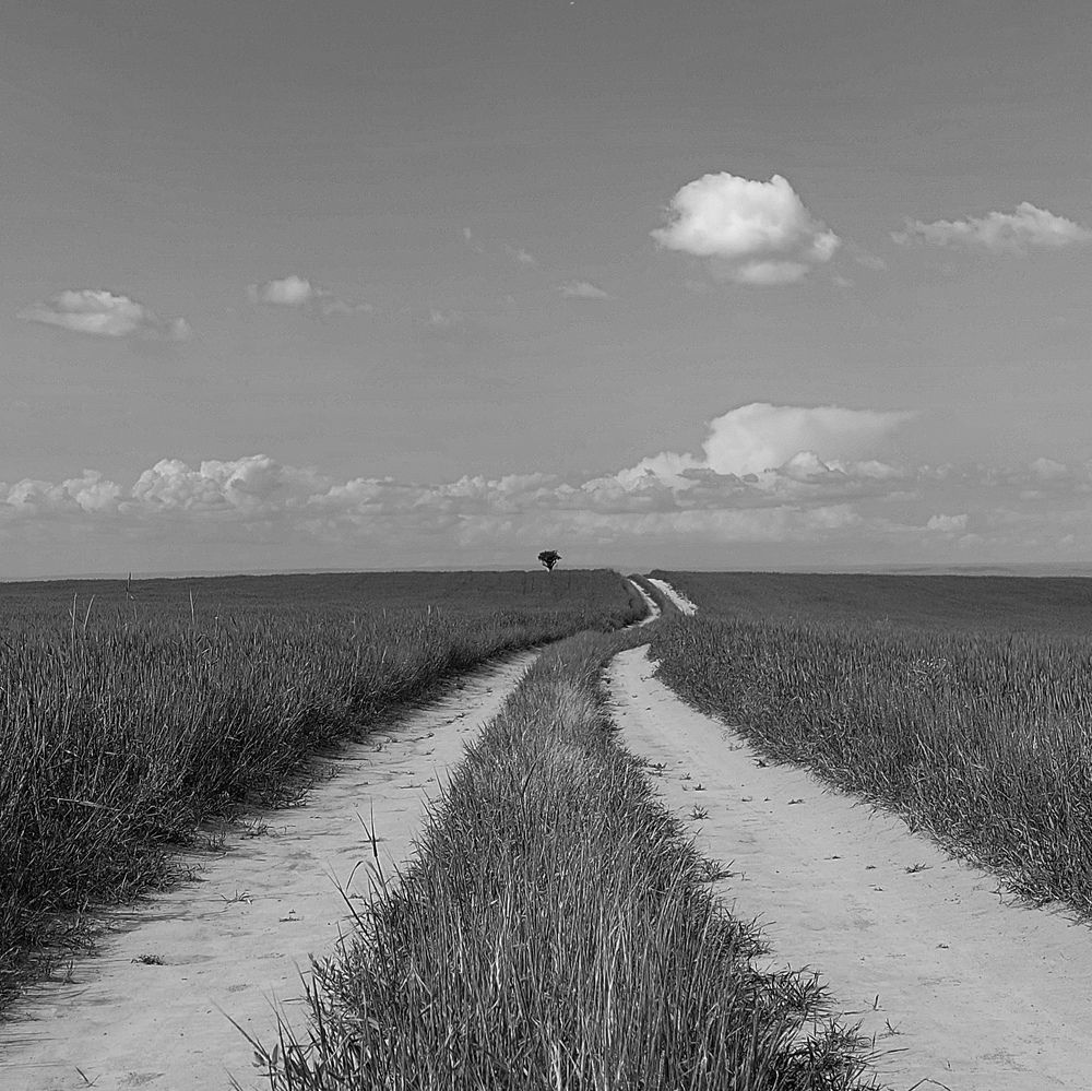 Photograph by Анна Чичилова