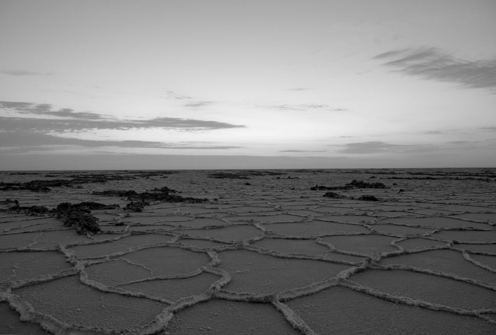 Photograph by Maryam javani