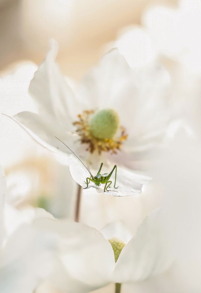 Photograph by Андрей Косяк