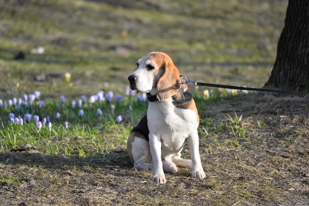 Photograph by Olga Mendosa