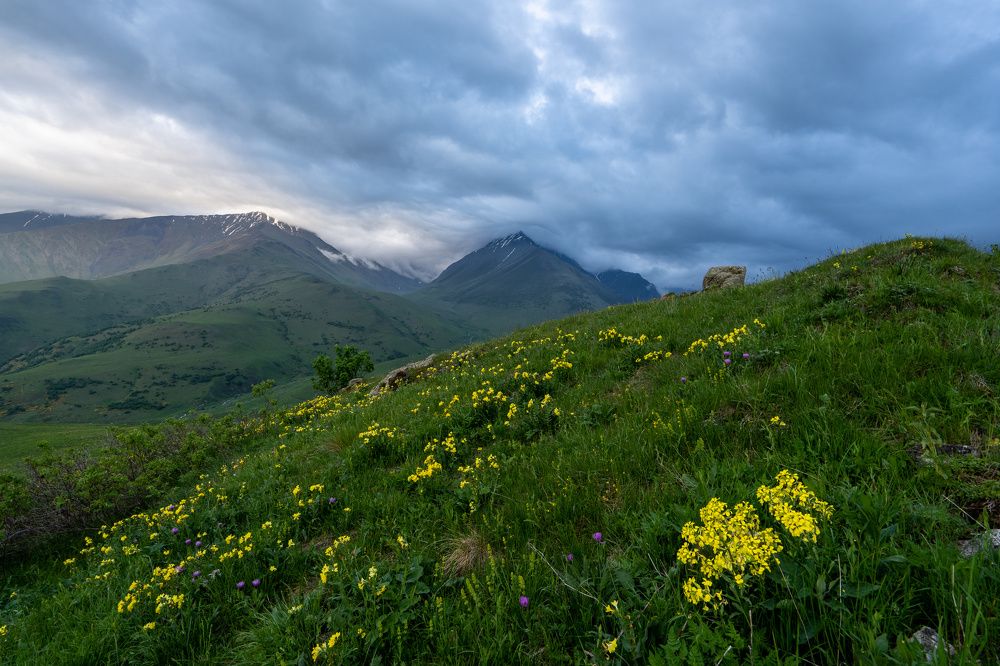 Photograph by Баландин Дмитрий