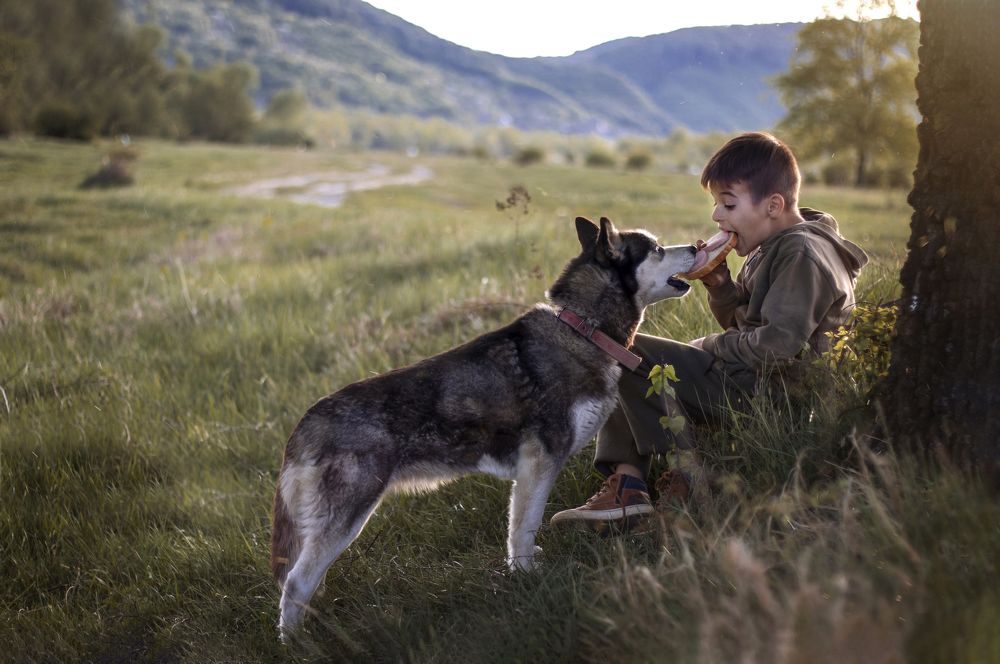 Photograph by Олеся Бучацька