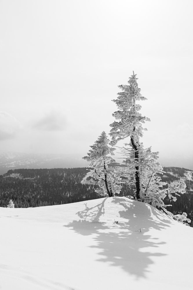 Photograph by Андрей Шишлов