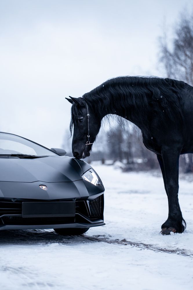 Photograph by Олёна Дроздова