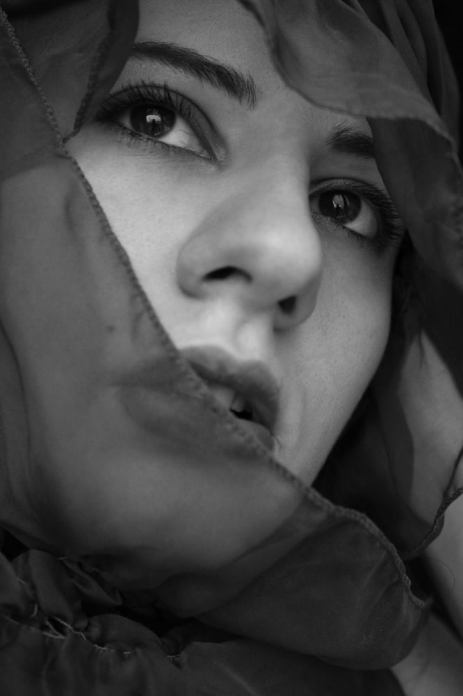 Фотография автора KattyFox