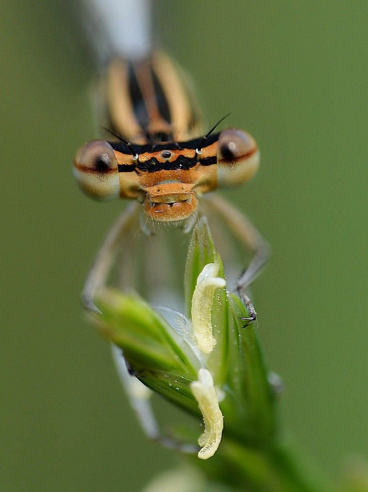 Photograph by Николай Багно