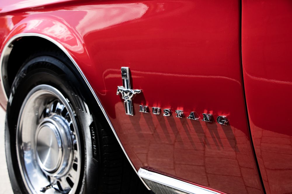 Photograph by Светлана Жорнова