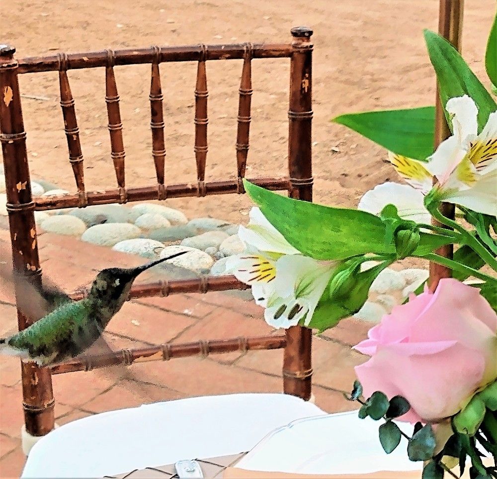 Photograph by José Luis Mendoza Machado