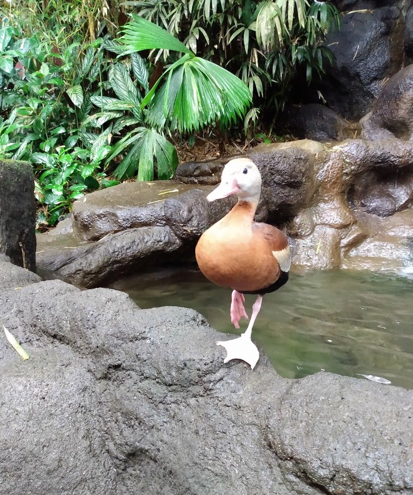 Photograph by José Luis Mendoza Machado