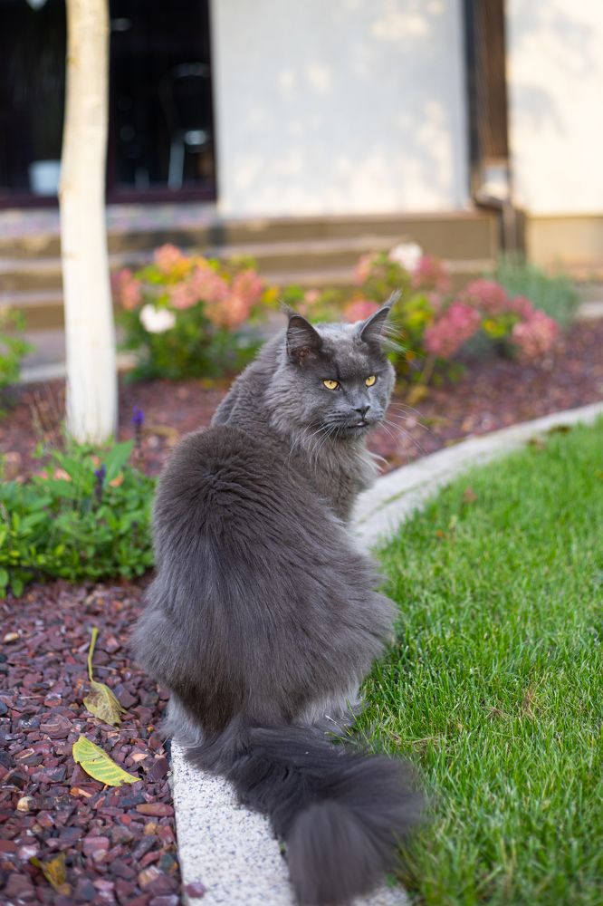 Photograph by Светлана Жорнова