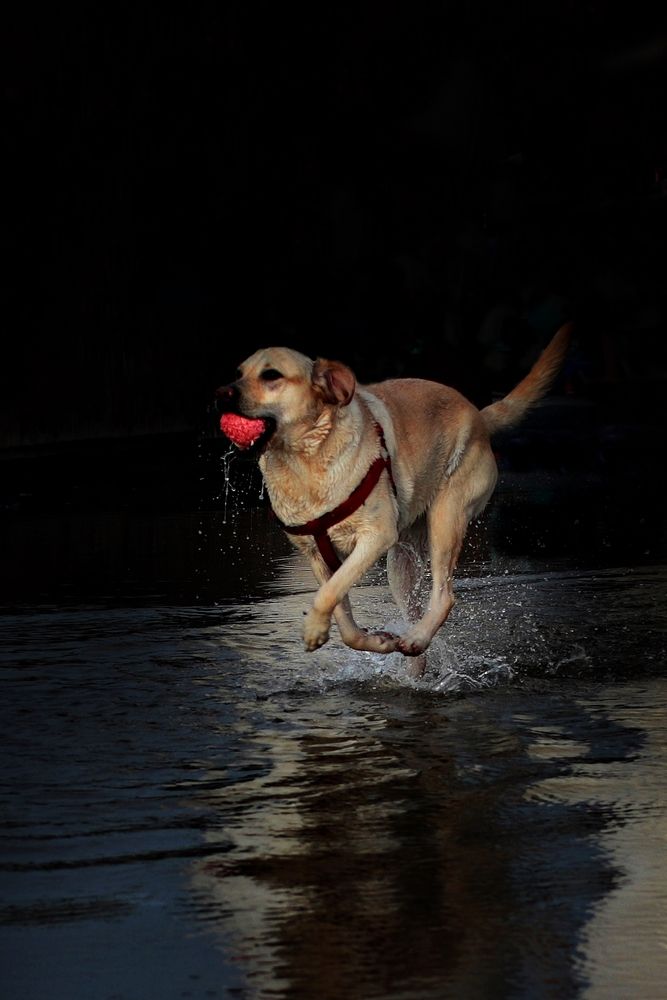 Photograph by Süleyman Ülker