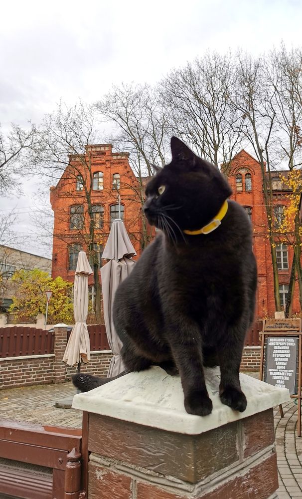 Photograph by Наталия Питолина