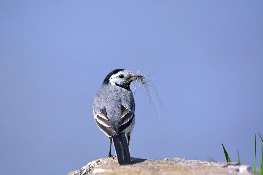 Фотография автора Рафаиль Садыков