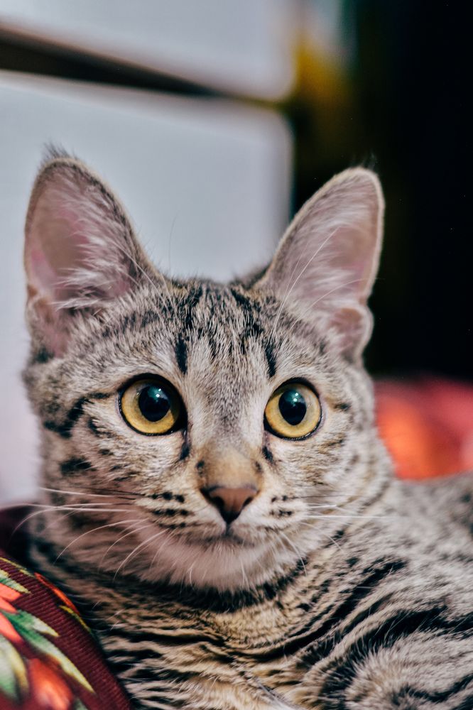 Photograph by ali bakhshi