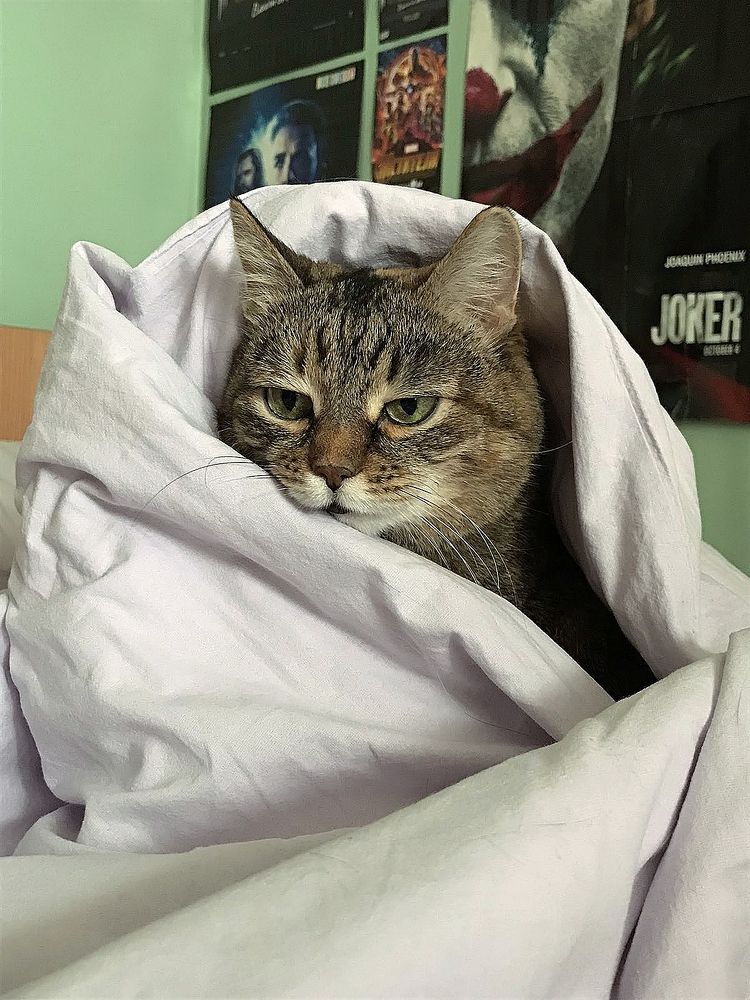 Photograph by Татьяна Клемба