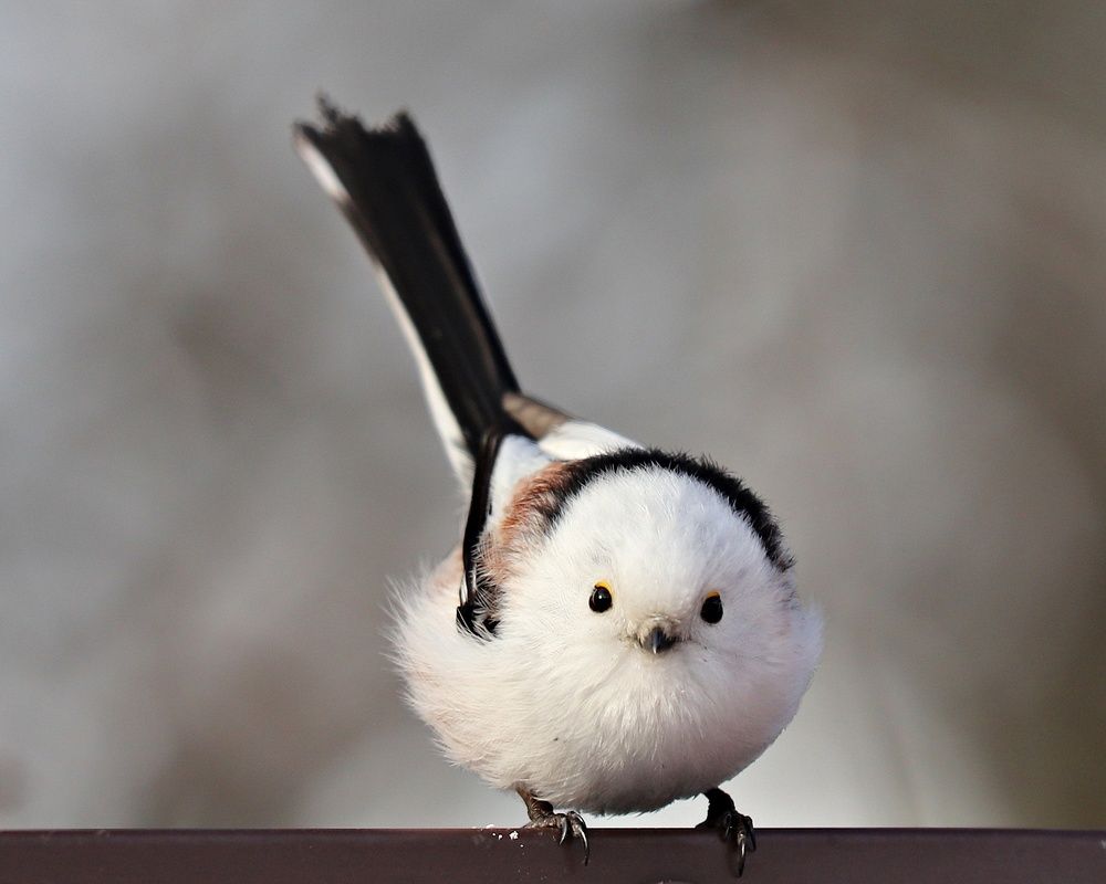 Photograph by Екатерина Мстиславская