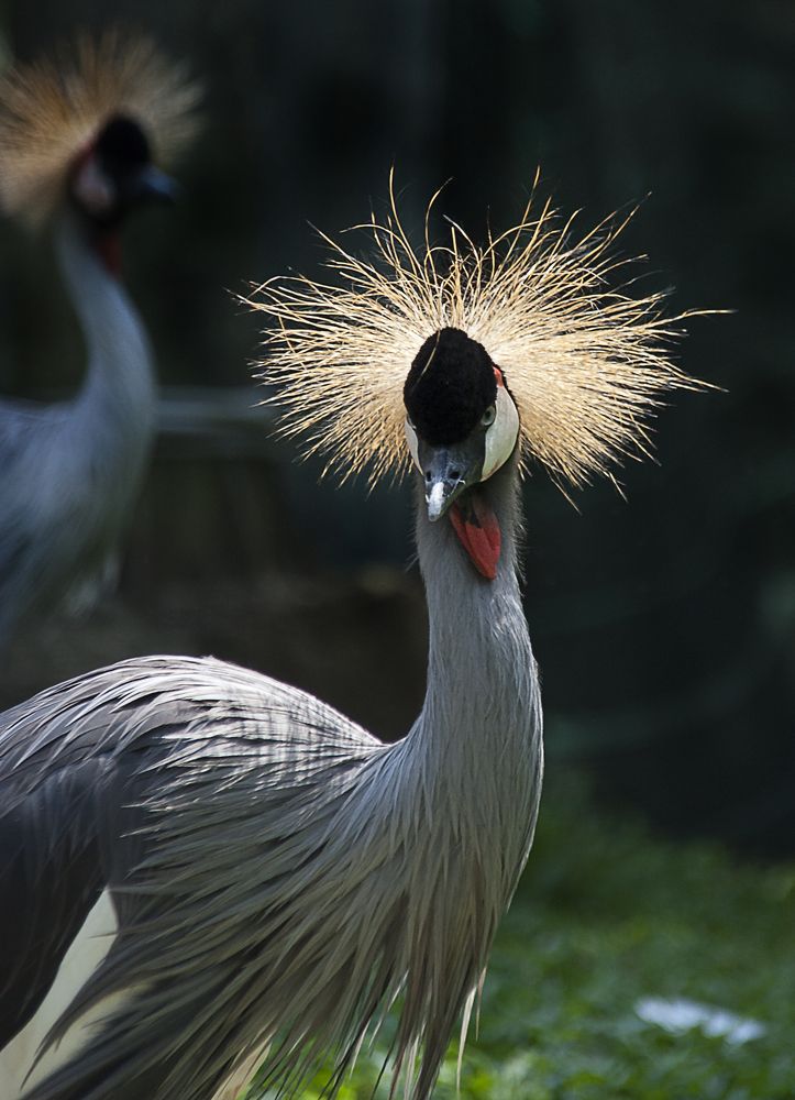 Photograph by Рашид Сафиуллин