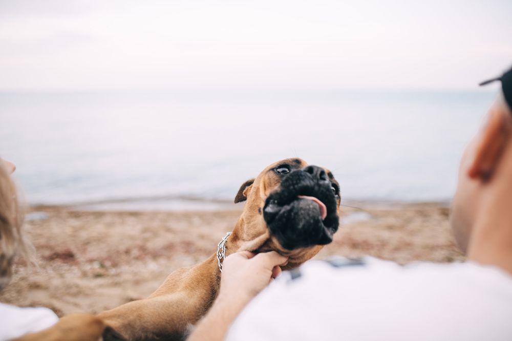 Photograph by Александр Назар