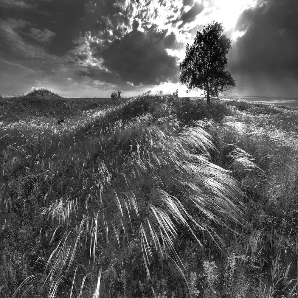 Photograph by Александр Тепляков