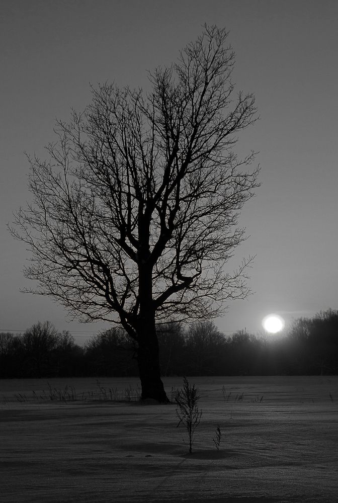 Photograph by Рашид Сафиуллин