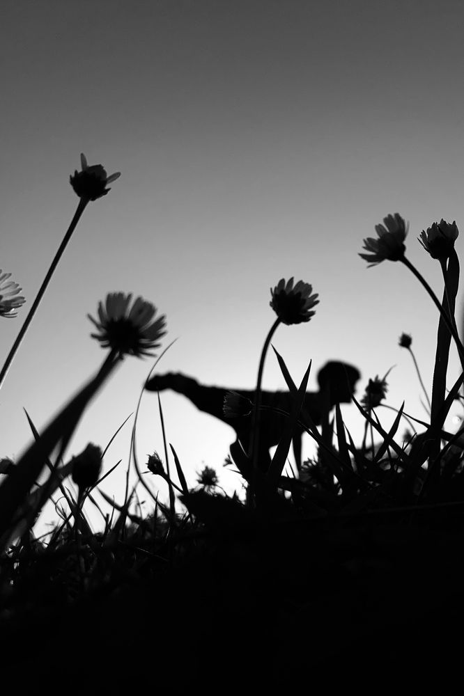 Photograph by Alexander