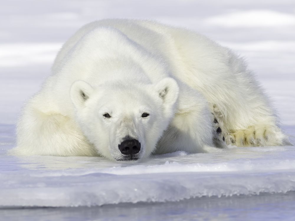 Photograph by Ruzdi Ekenheim