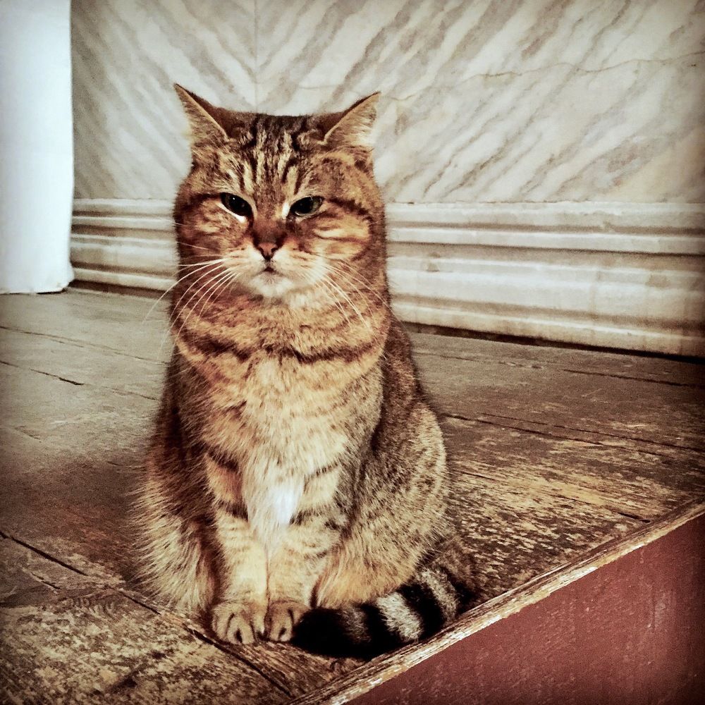 Photograph by Ahmet Aka