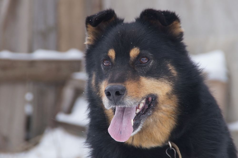 Photograph by Павел Колеснев