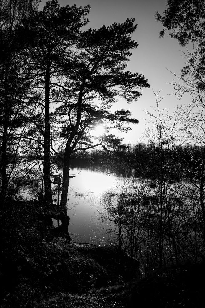 Photograph by Оксана Хабарова