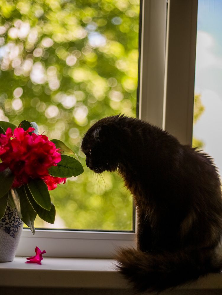 Photograph by Оксана Хабарова