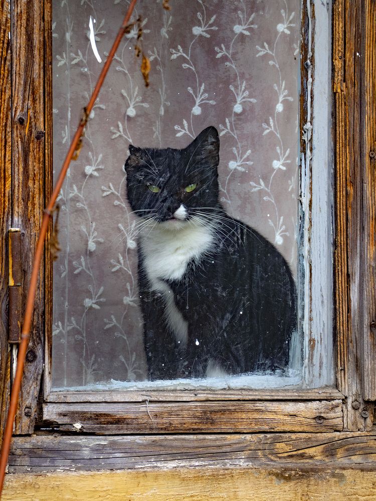 Photograph by Дмитрий Потапов